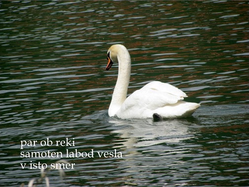 Alenka Zorman: Majska reka